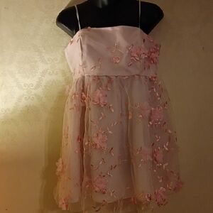 Pink Floral Fairy Core Lace / Embroidered Overlay Short Dress. Size Large.